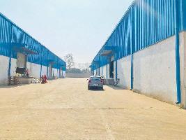  Warehouse for Rent in Bhanpuri, Raipur