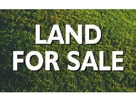  Commercial Land for Sale in Shankar Nagar, Raipur