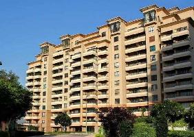 2 BHK Flat for Sale in Sector 42 Gurgaon