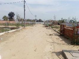  Residential Plot for Sale in Sector 54 Gurgaon