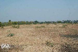  Agricultural Land for Sale in Chengam, Tiruvannamalai
