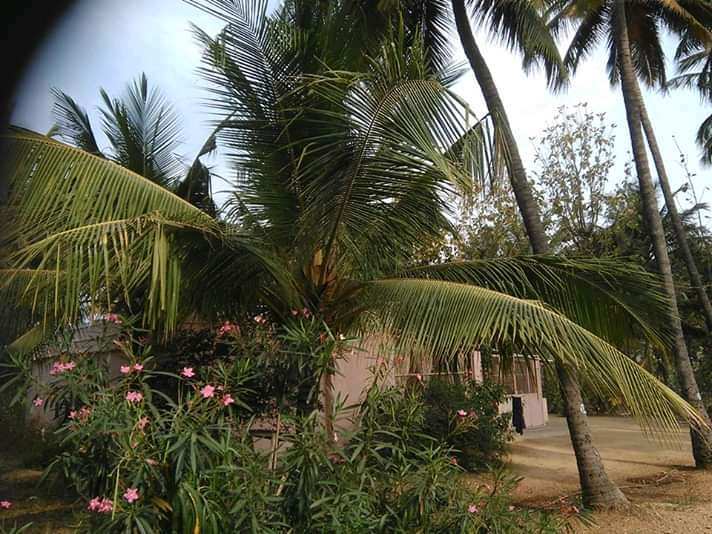 Agricultural Land 4 Acre for Sale in Press Colony, Coimbatore