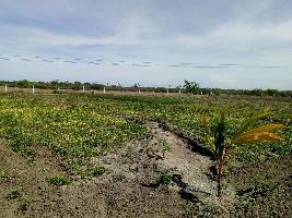  Agricultural Land for Sale in Salamedu, Villupuram
