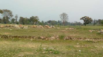  Agricultural Land for Sale in Shahpur, Kangra