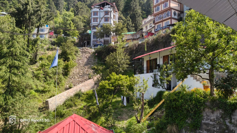  Commercial Land 59 Biswa for Sale in Kufri, Shimla