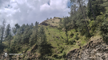  Agricultural Land for Sale in Theog, Shimla