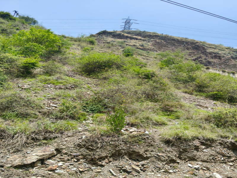  Agricultural Land 8 Bigha for Sale in Theog, Shimla