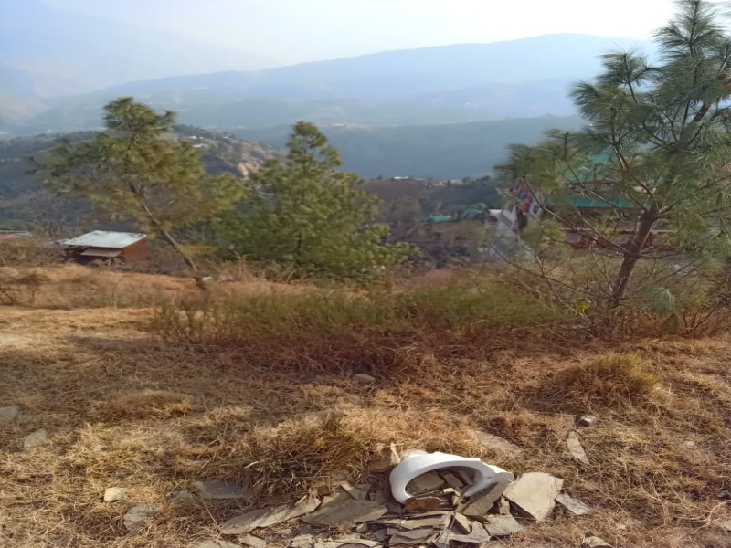  Agricultural Land 1 Bigha for Sale in Fagu, Shimla