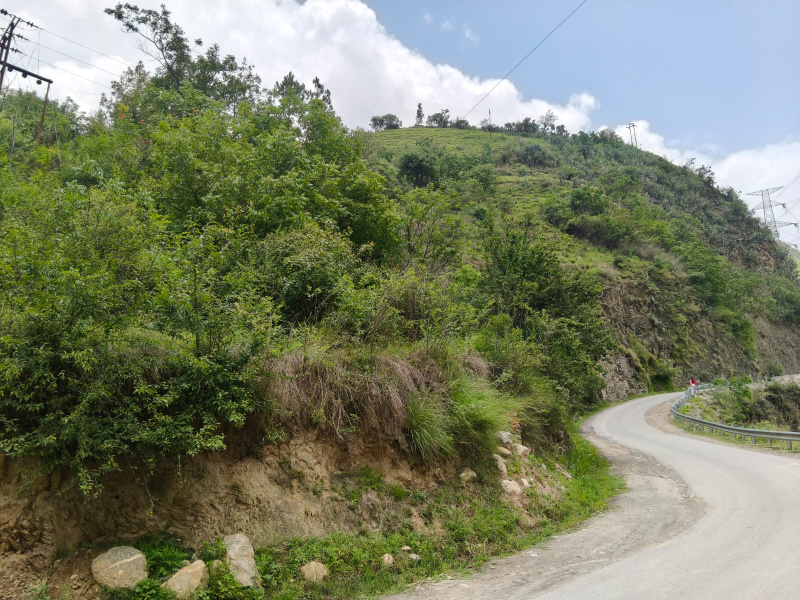  Agricultural Land 5 Bigha for Sale in Chhaila, Shimla