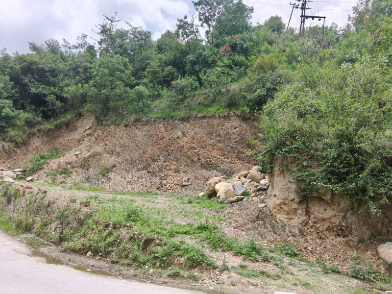  Agricultural Land 5 Bigha for Sale in Chhaila, Shimla