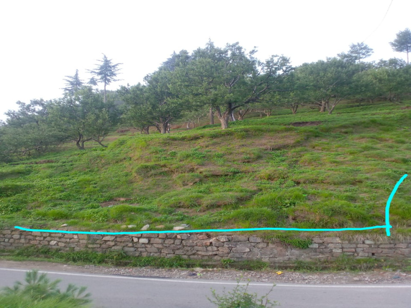  Agricultural Land 10 Bigha for Sale in Narkand, Shimla