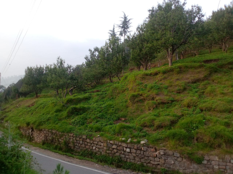  Agricultural Land 10 Bigha for Sale in Narkand, Shimla