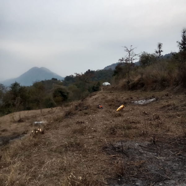  Agricultural Land 84 Biswa for Sale in Sunni, Shimla