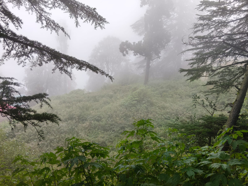  75 Biswa Commercial Land for Sale in Jakhu, Shimla
