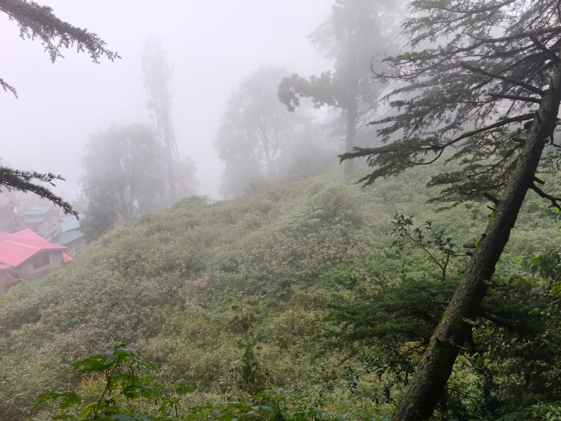  75 Biswa Commercial Land for Sale in Jakhu, Shimla