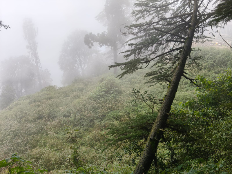  75 Biswa Commercial Land for Sale in Jakhu, Shimla