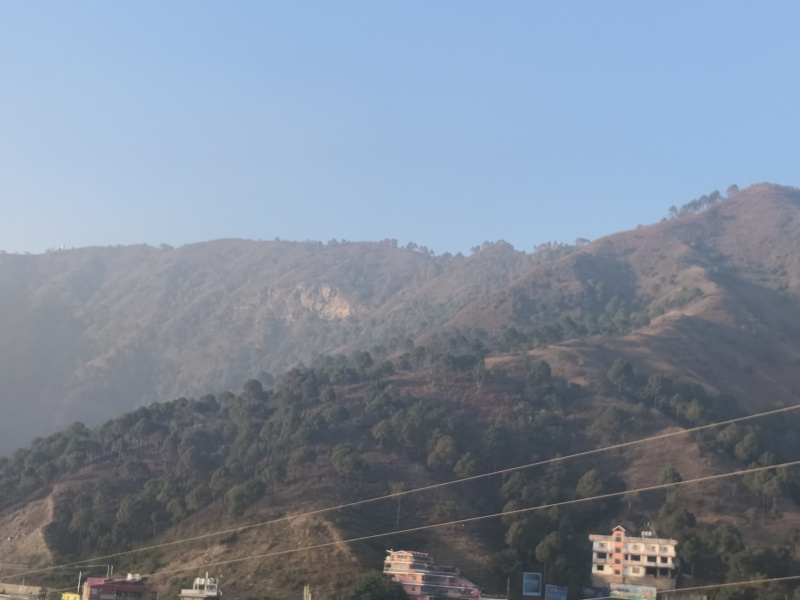  120 Bigha Agricultural/Farm Land for Sale in Kandaghat, Solan