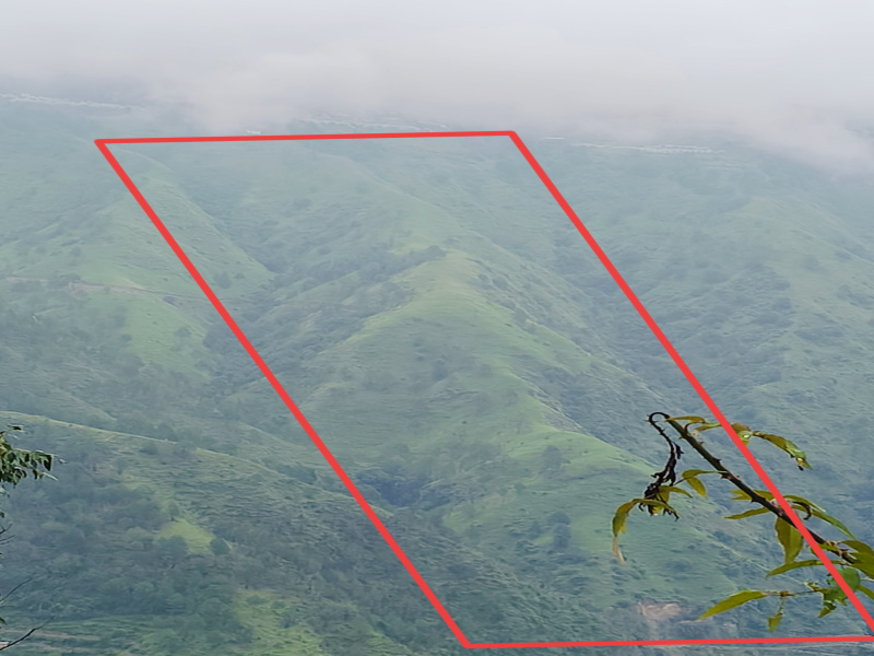  250 Bigha Commercial Land for Sale in Chail, Shimla