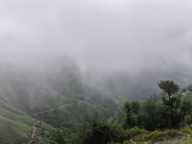  250 Bigha Commercial Land for Sale in Chail, Shimla