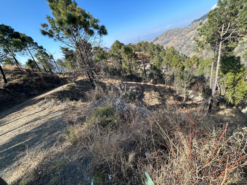  10 Biswa Residential Plot for Sale in Summer Hill, Shimla