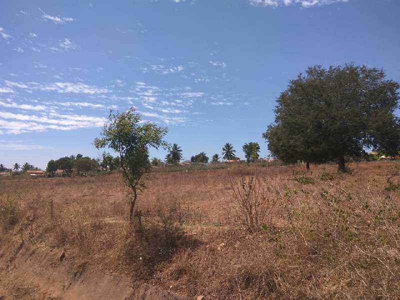 Agricultural Land 2 Acre for Sale in HD Kote Road, Mysore