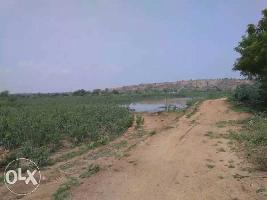  Agricultural Land for Sale in Ambasamudram, Tirunelveli