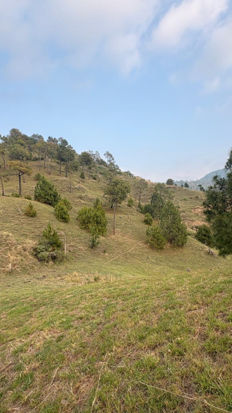 Rajgarh Road, Solan photo 3