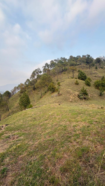 Rajgarh Road, Solan photo 5
