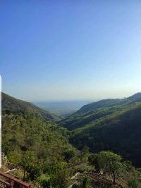  Agricultural Land for Sale in Kasauli, Solan