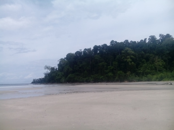  Commercial Land for Sale in Rangat, Andaman