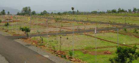 Agricultural Land 150 Bigha for Sale in Kosamba, Surat