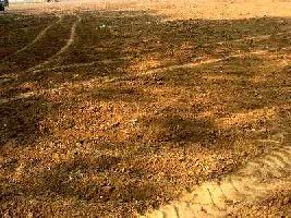  Commercial Land for Sale in Dahej, Bharuch