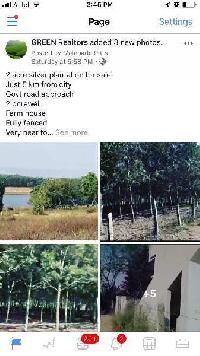  Guest House for Sale in Sakleshpur, Hassan