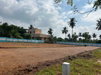  Residential Plot for Sale in Nanjikottai, Thanjavur