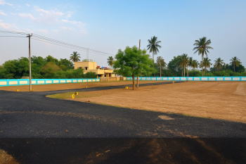  Residential Plot for Sale in Nanjikottai, Thanjavur