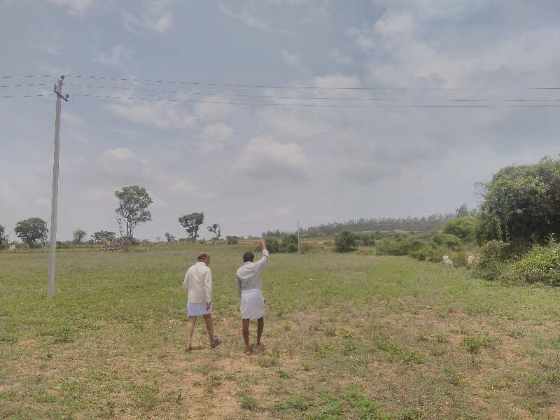 Agricultural Land 5 Acre for Sale in Gundlupet, Chamrajnagar