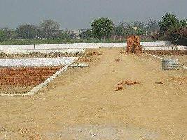  Residential Plot for Sale in Pari Chowk, Greater Noida