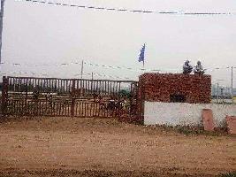  Residential Plot for Sale in Pari Chowk, Greater Noida