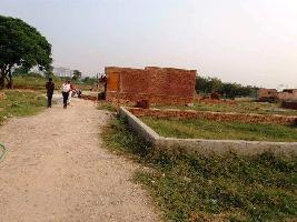  Residential Plot for Sale in Pari Chowk, Greater Noida