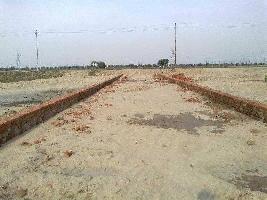  Residential Plot for Sale in Pari Chowk, Greater Noida