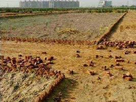  Residential Plot for Sale in Yamuna Expressway, Greater Noida