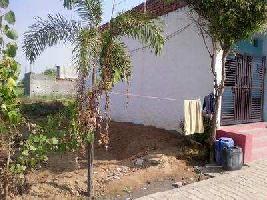 Residential Plot for Sale in Sector 82 Faridabad