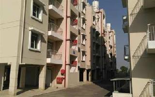 3 BHK Builder Floor for Sale in Sector 89 Faridabad