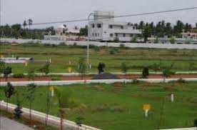  Residential Plot for Sale in Pari Chowk, Greater Noida