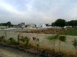  Residential Plot for Sale in Jasana Village, Faridabad