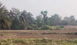  Agricultural Land for Sale in Amtala, South 24 Parganas