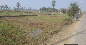  Residential Plot for Sale in Sherghati, Gaya