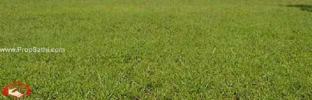  Residential Plot for Sale in Mangalwad, Udaipur