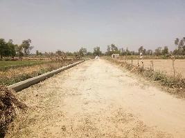  Residential Plot for Sale in Gosainganj, Lucknow