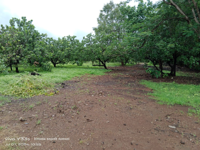 2 BHK 15 Acre Farm House for Sale in Roha, Raigad